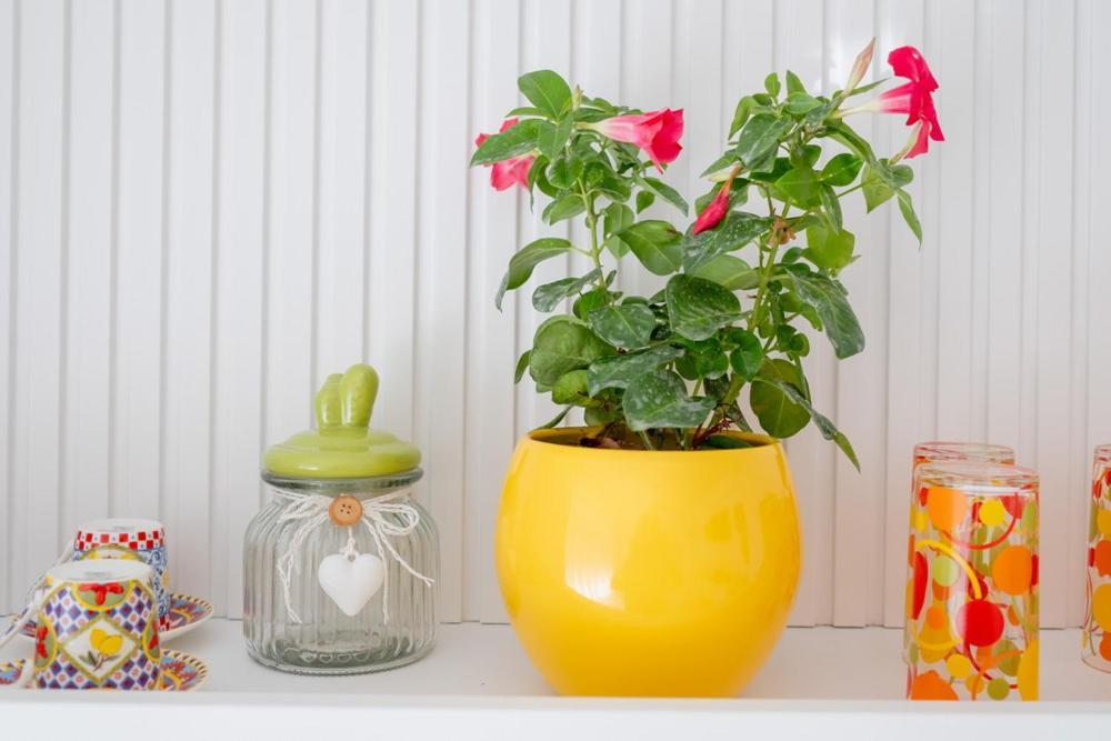 B&B Glass Paradise Catanzaro Ngoại thất bức ảnh